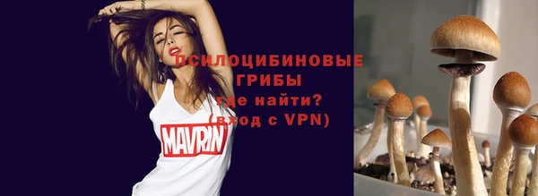 прущие крисы Беломорск