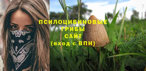 mdma Пересвет