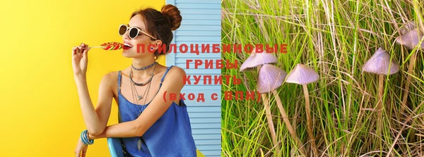 мдма Белокуриха